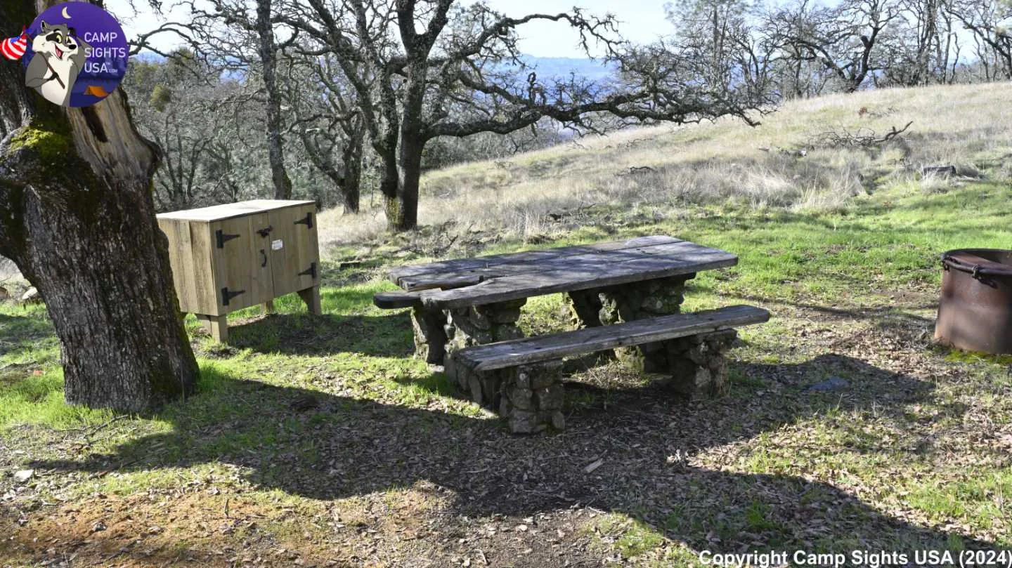 Junction Campsite #3