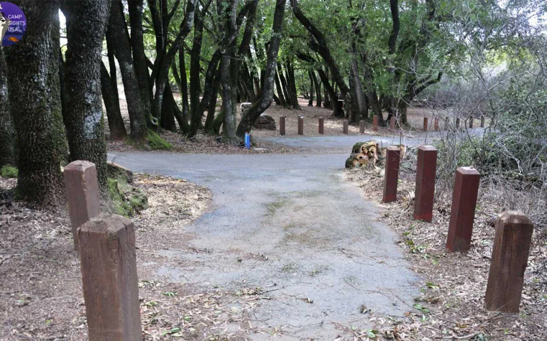 Juniper Site #35