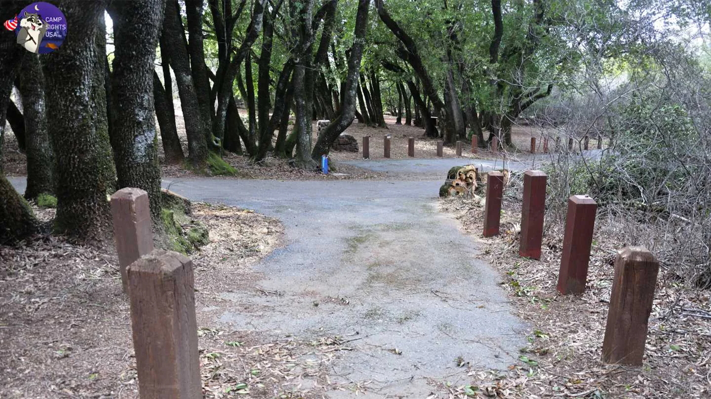 Juniper Site #35