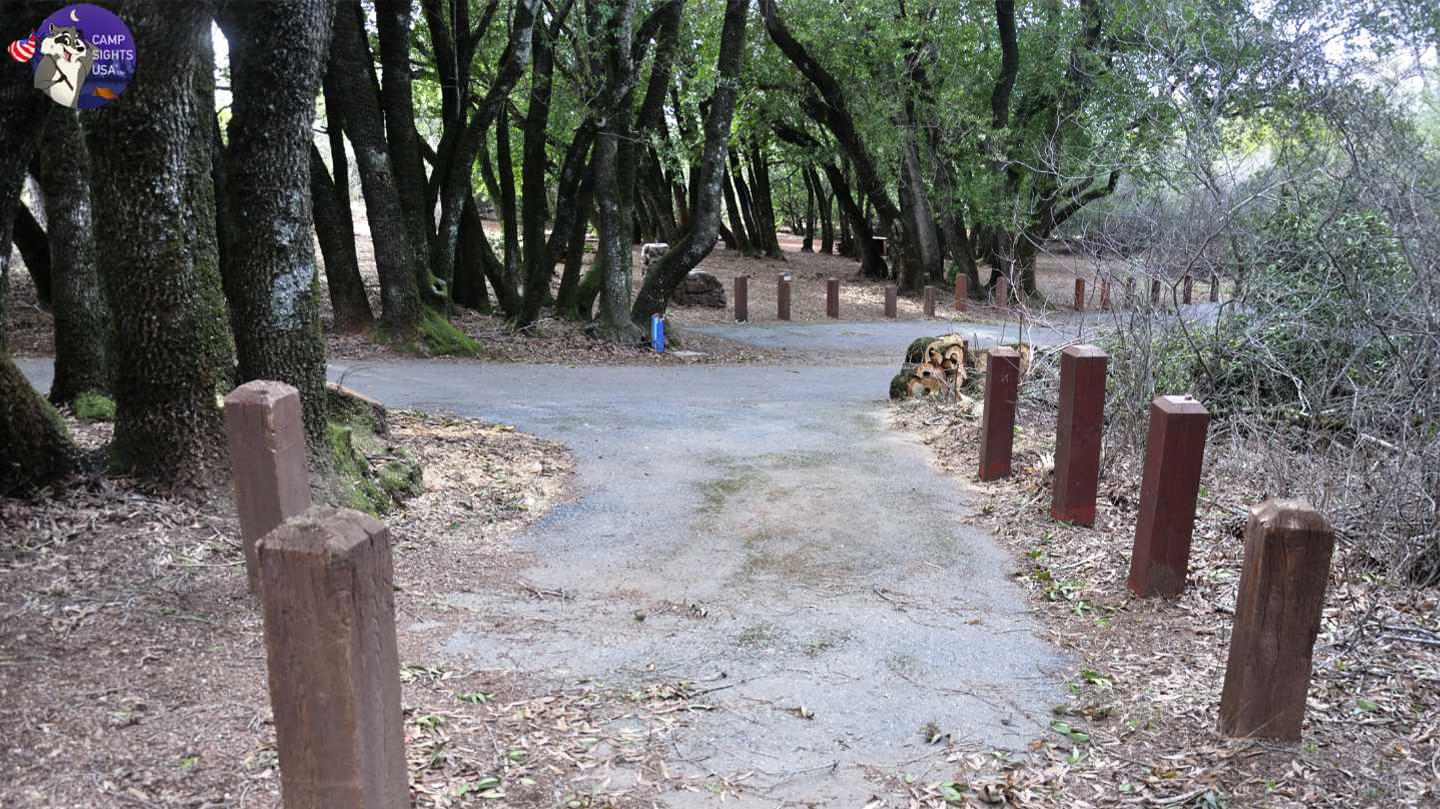 Juniper Site #35