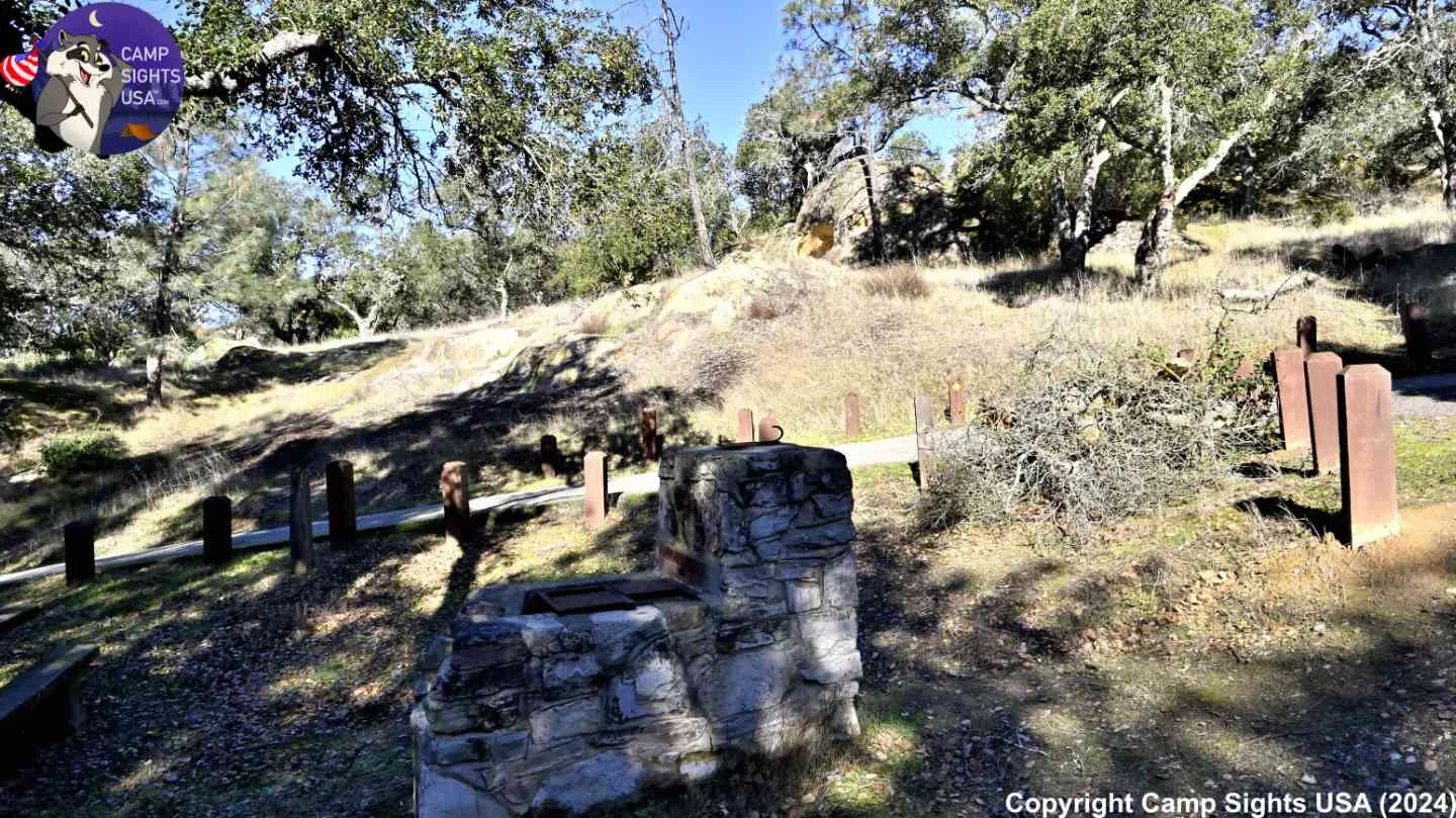 Live Oak Site #20