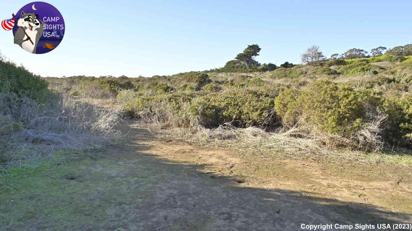 Manresa Campsite #18