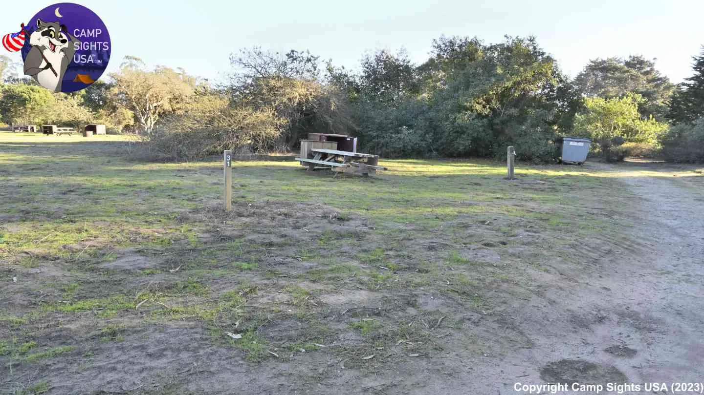 Manresa Campsite #31