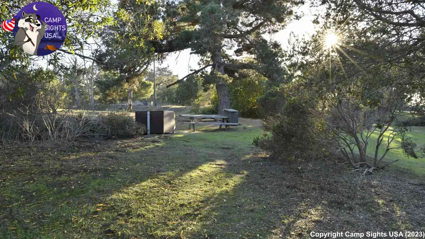 Manresa Campsite #43