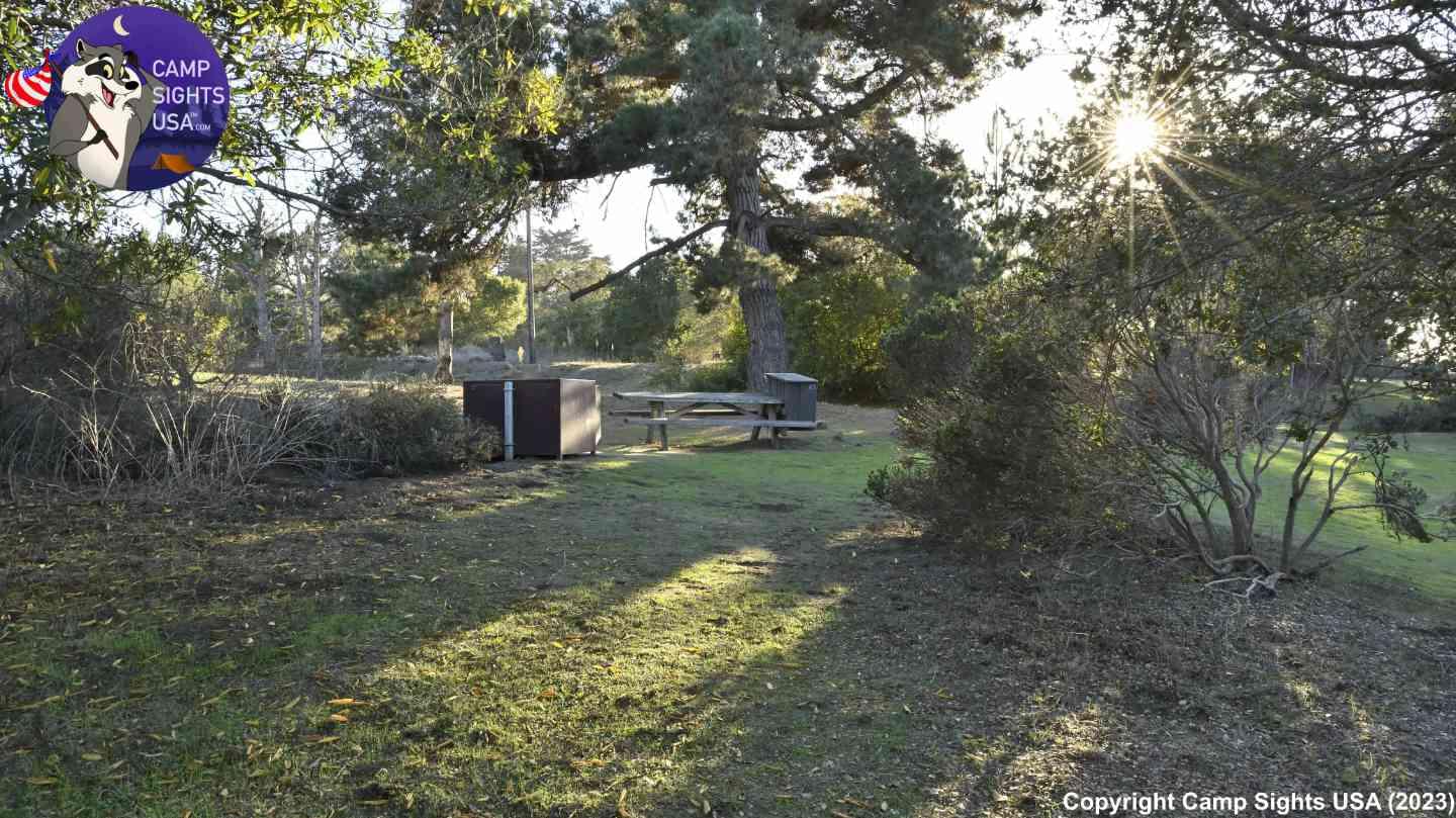 Manresa Campsite #43
