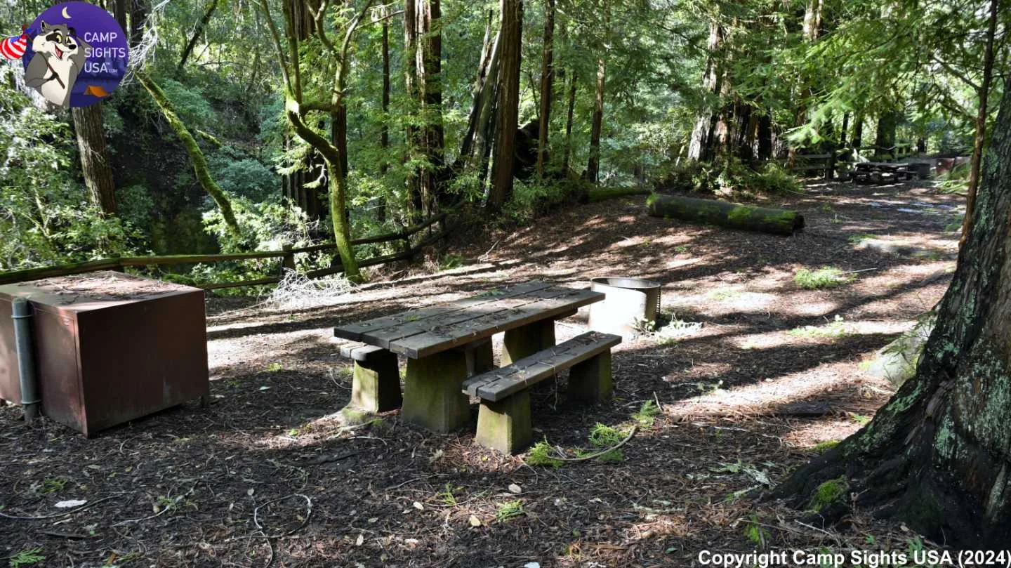 Portola Redwoods Site #2