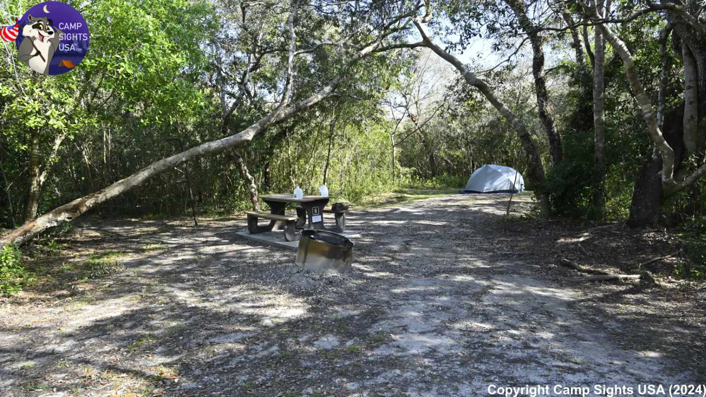 Mitchell Landing Site #6