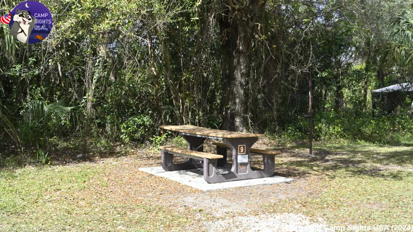Mitchell Landing Site #9