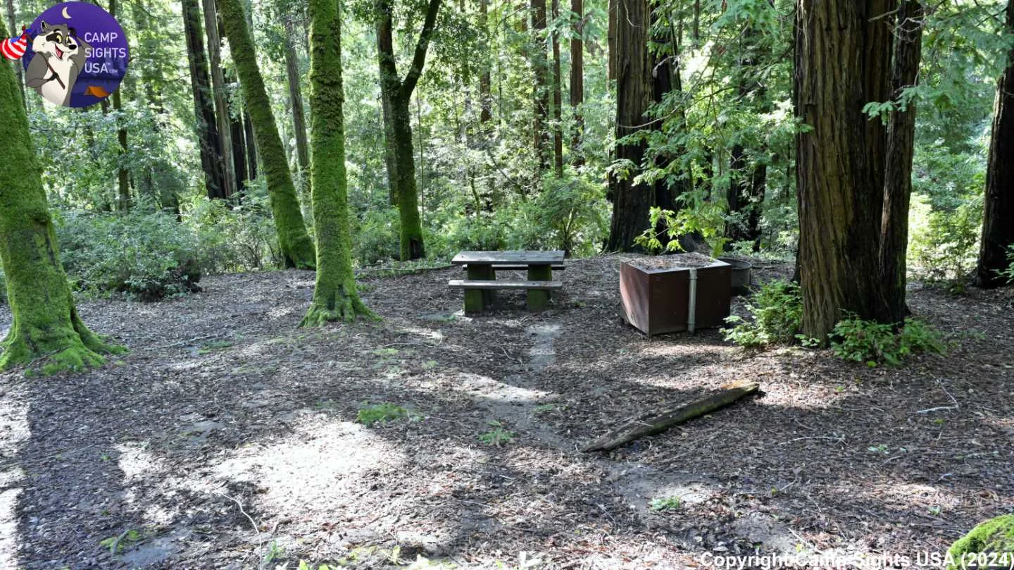 Portola Redwoods Site #5