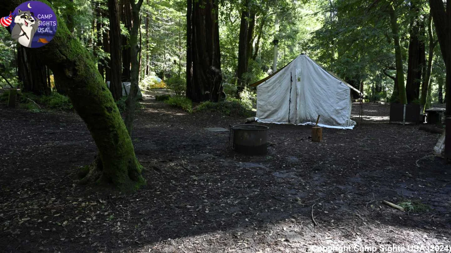 Portola Redwoods Site #10