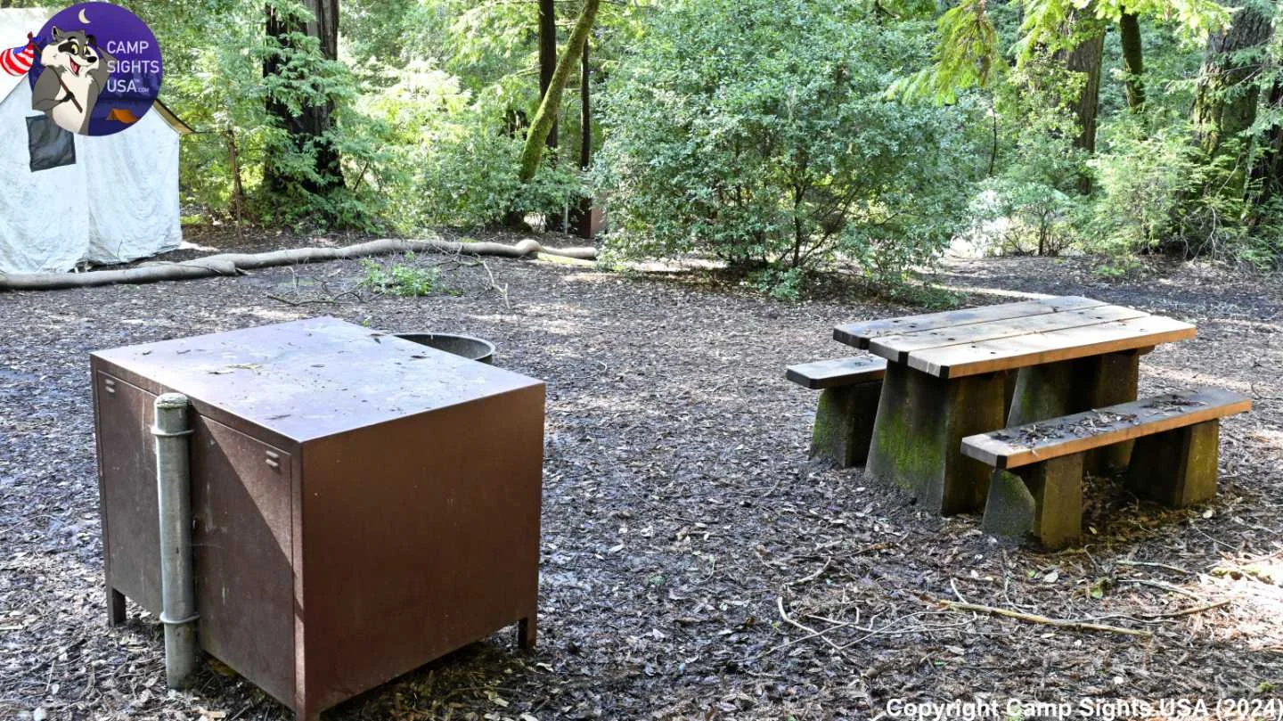 Portola Redwoods Site #11