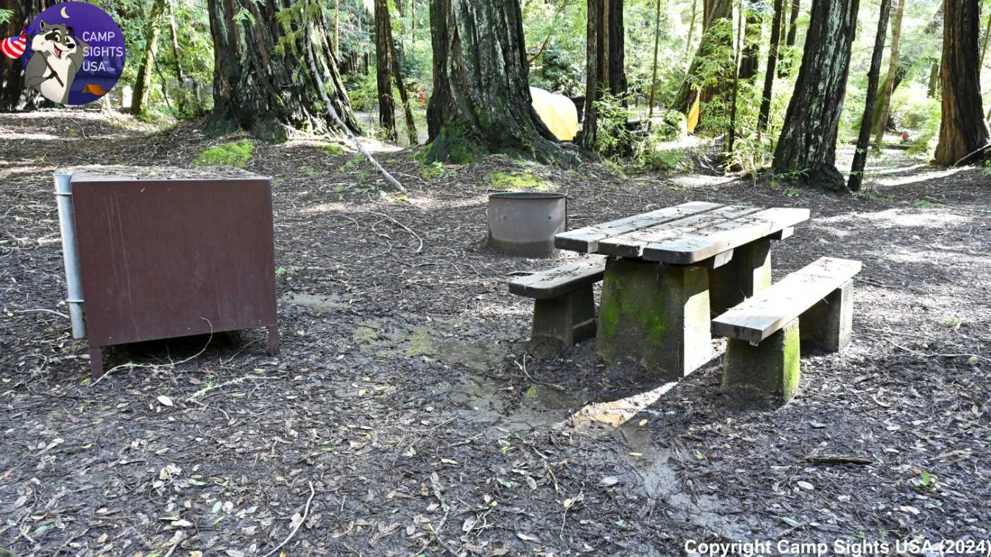 Portola Redwoods Site #12