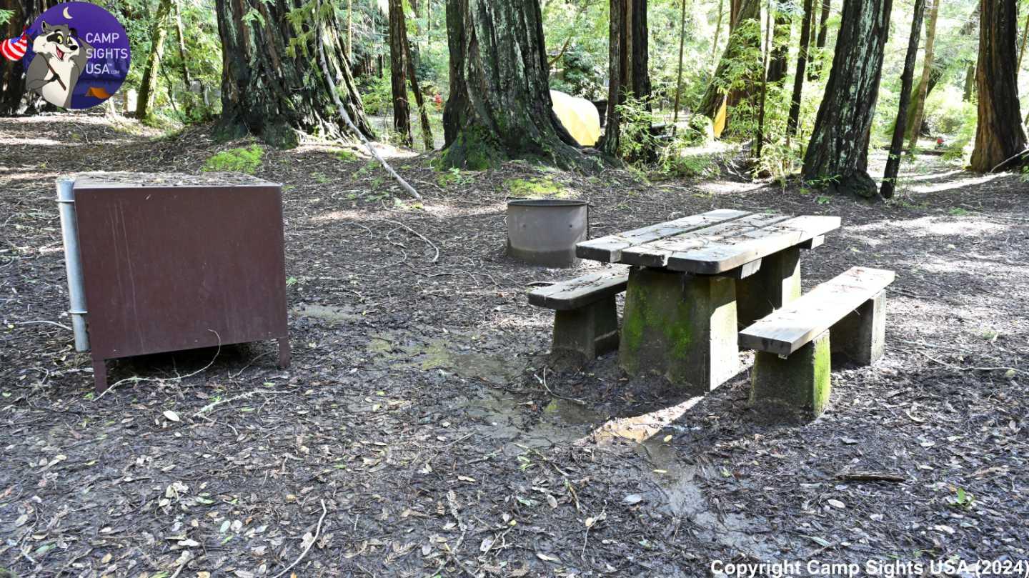 Portola Redwoods Site #12