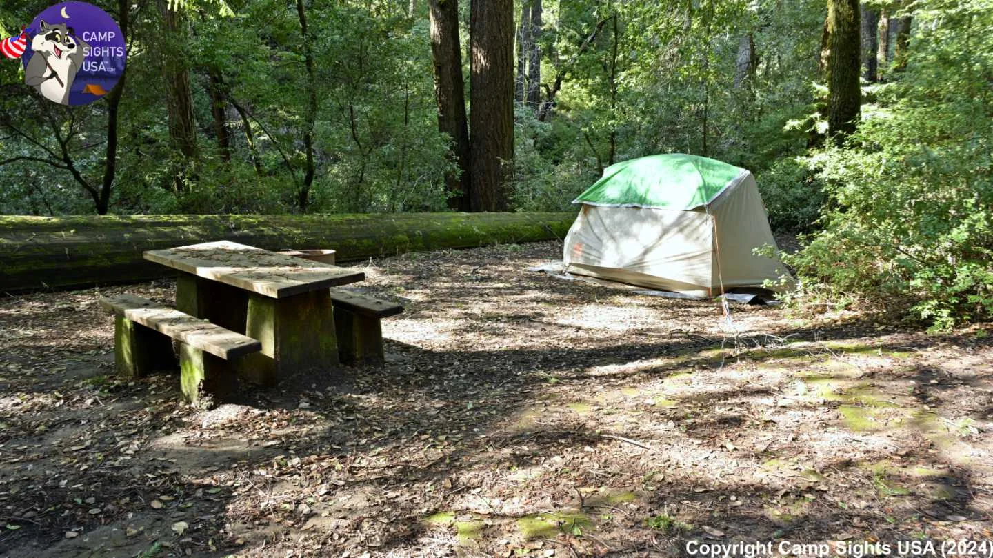 Portola Redwoods Site #14