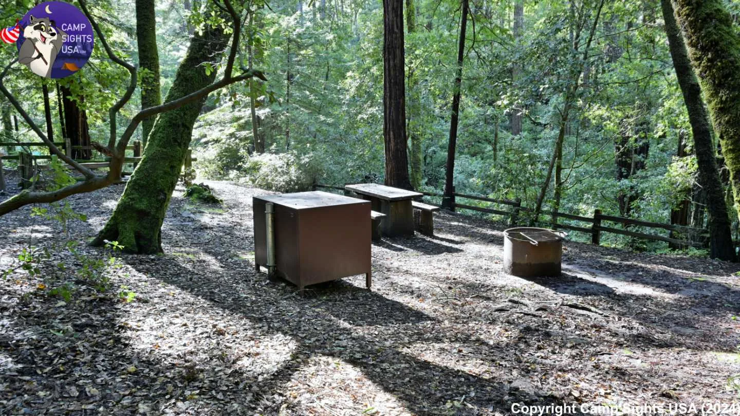 Portola Redwoods Site #15