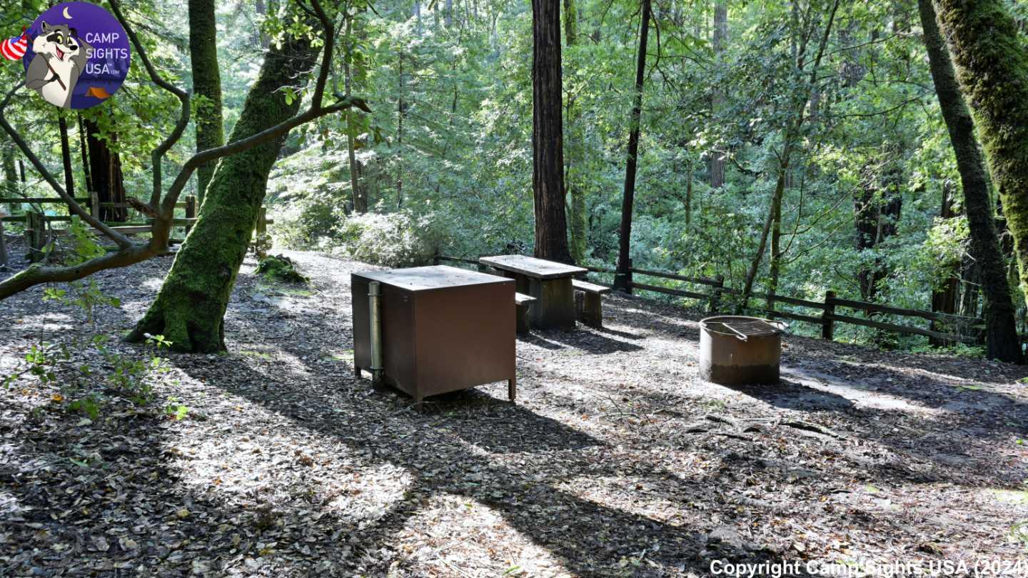 Portola Redwoods Site #15