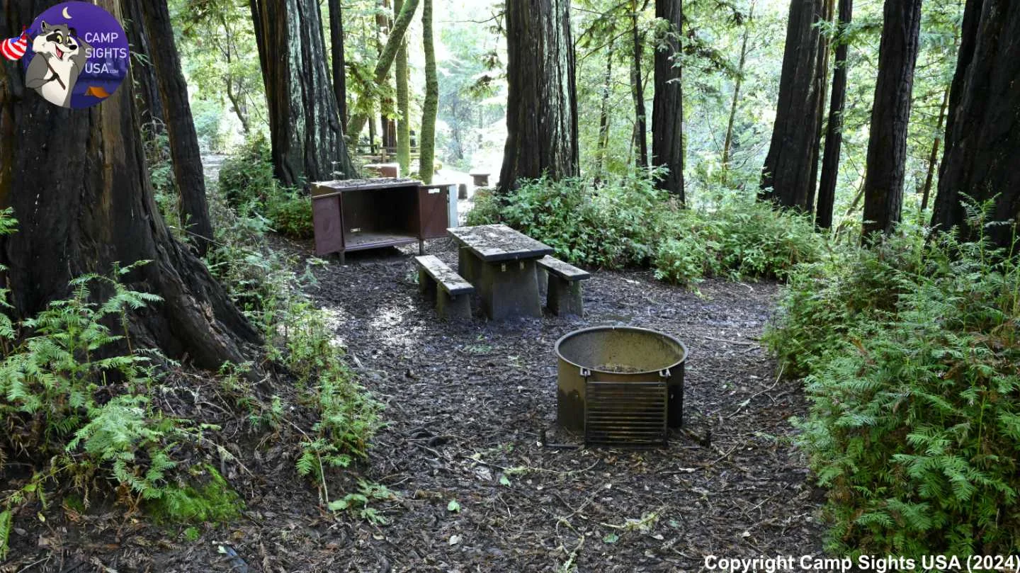 Portola Redwoods Site #16
