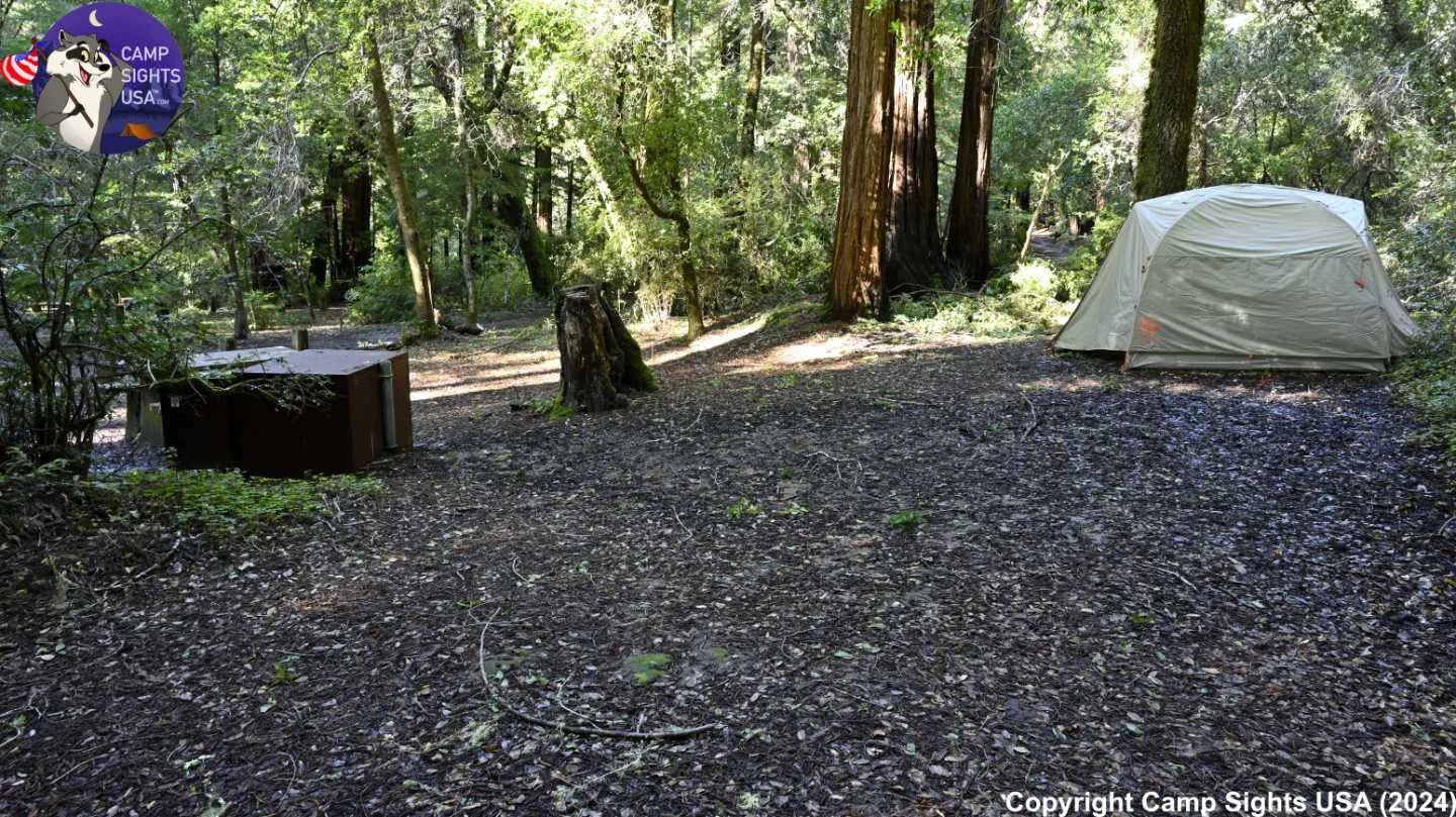 Portola Redwoods Site #17