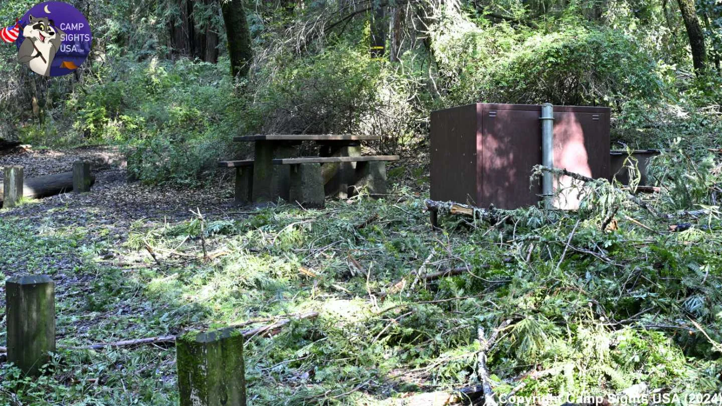 Portola Redwoods Site #18