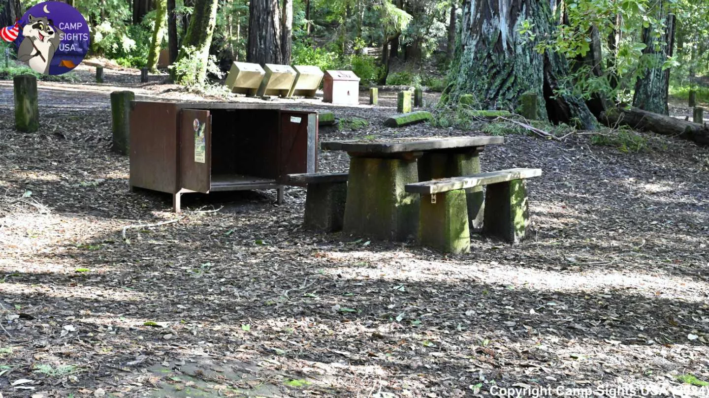 Portola Redwoods Site #19