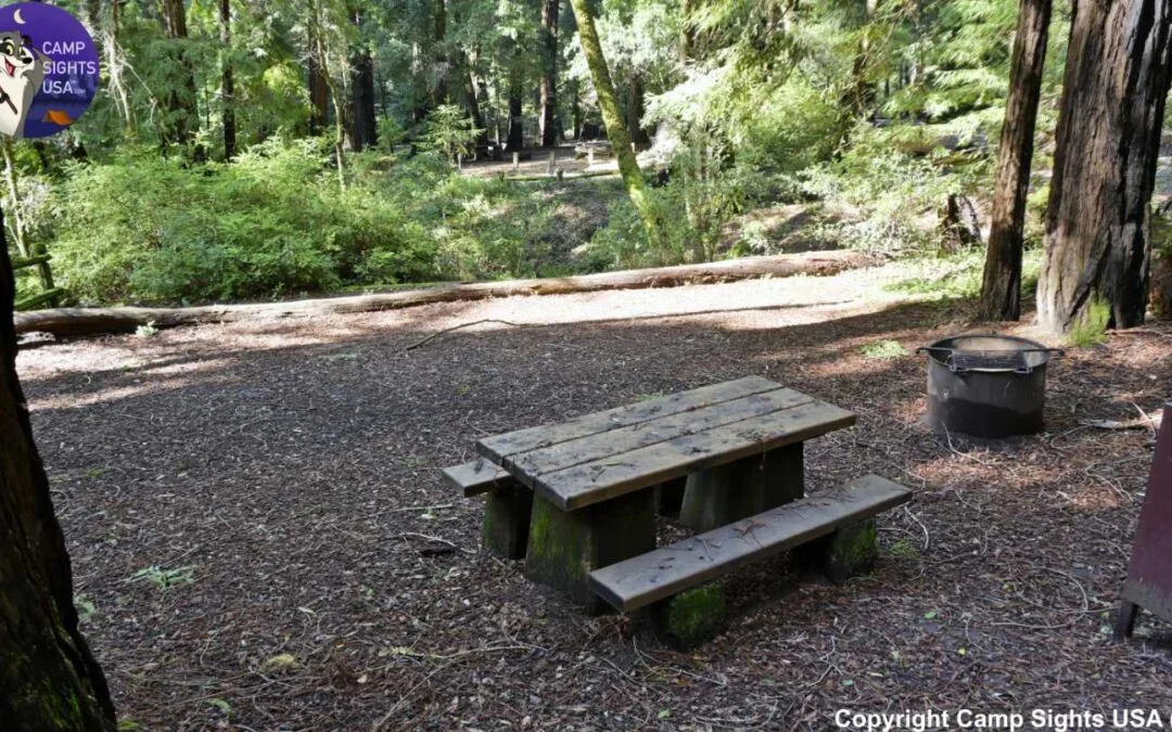Portola Redwoods Site #20