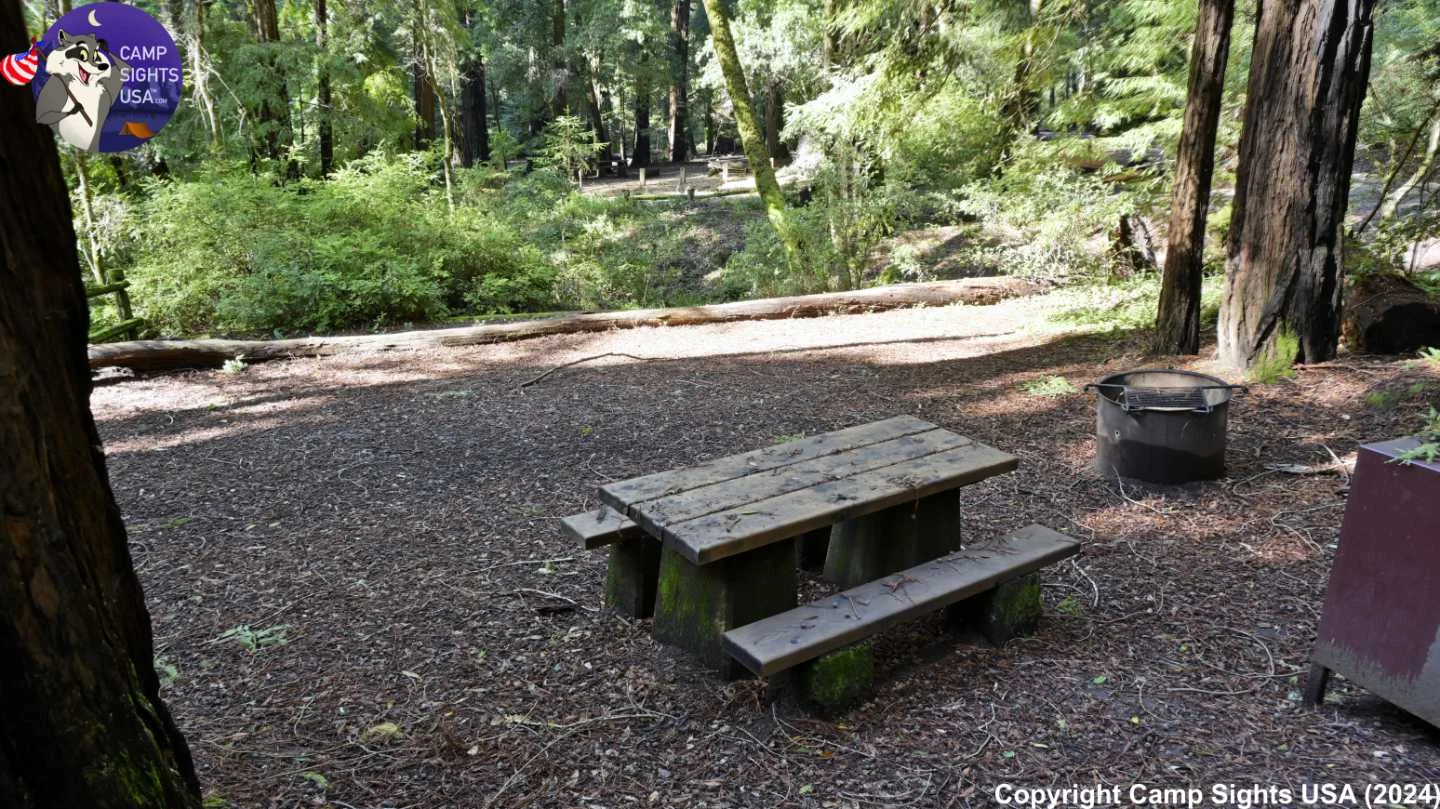 Portola Redwoods Site #20