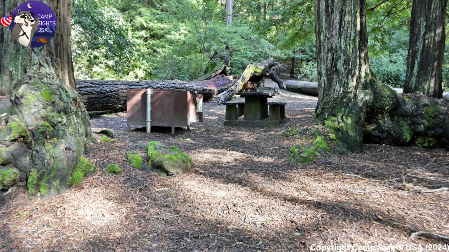 Portola Redwoods Site #21