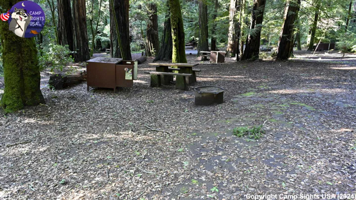 Portola Redwoods Site #22