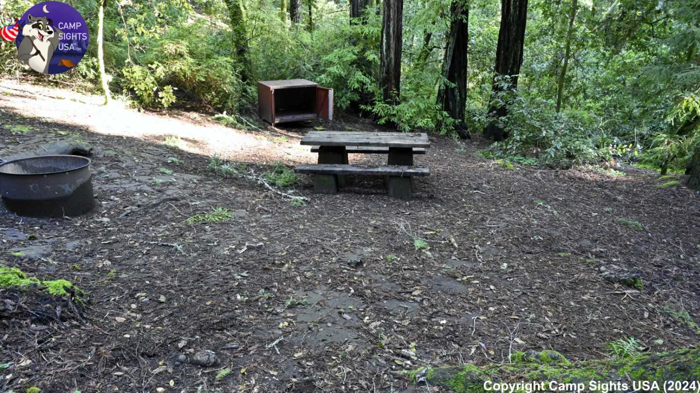 Portola Redwoods Site #23