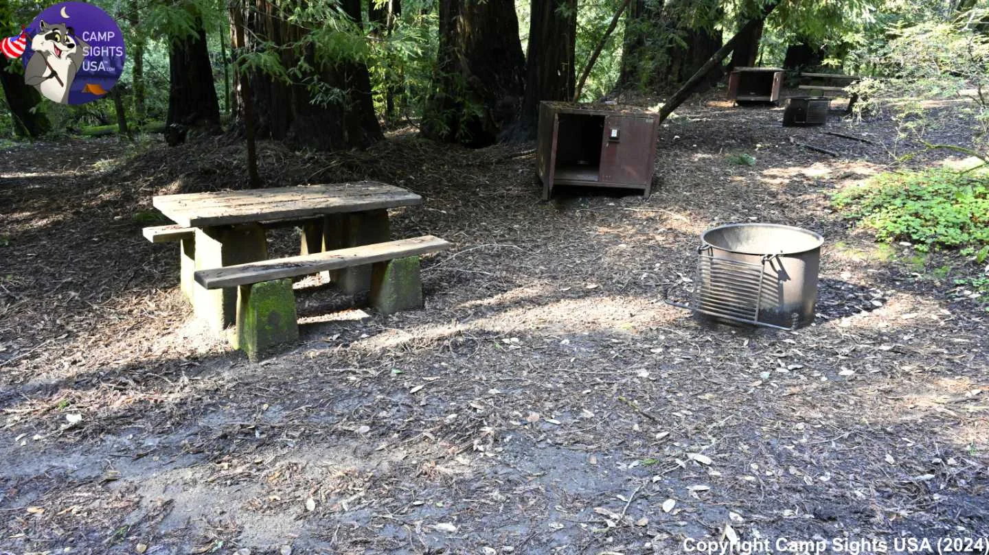 Portola Redwoods Site #25
