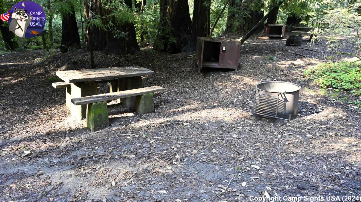 Portola Redwoods Site #25