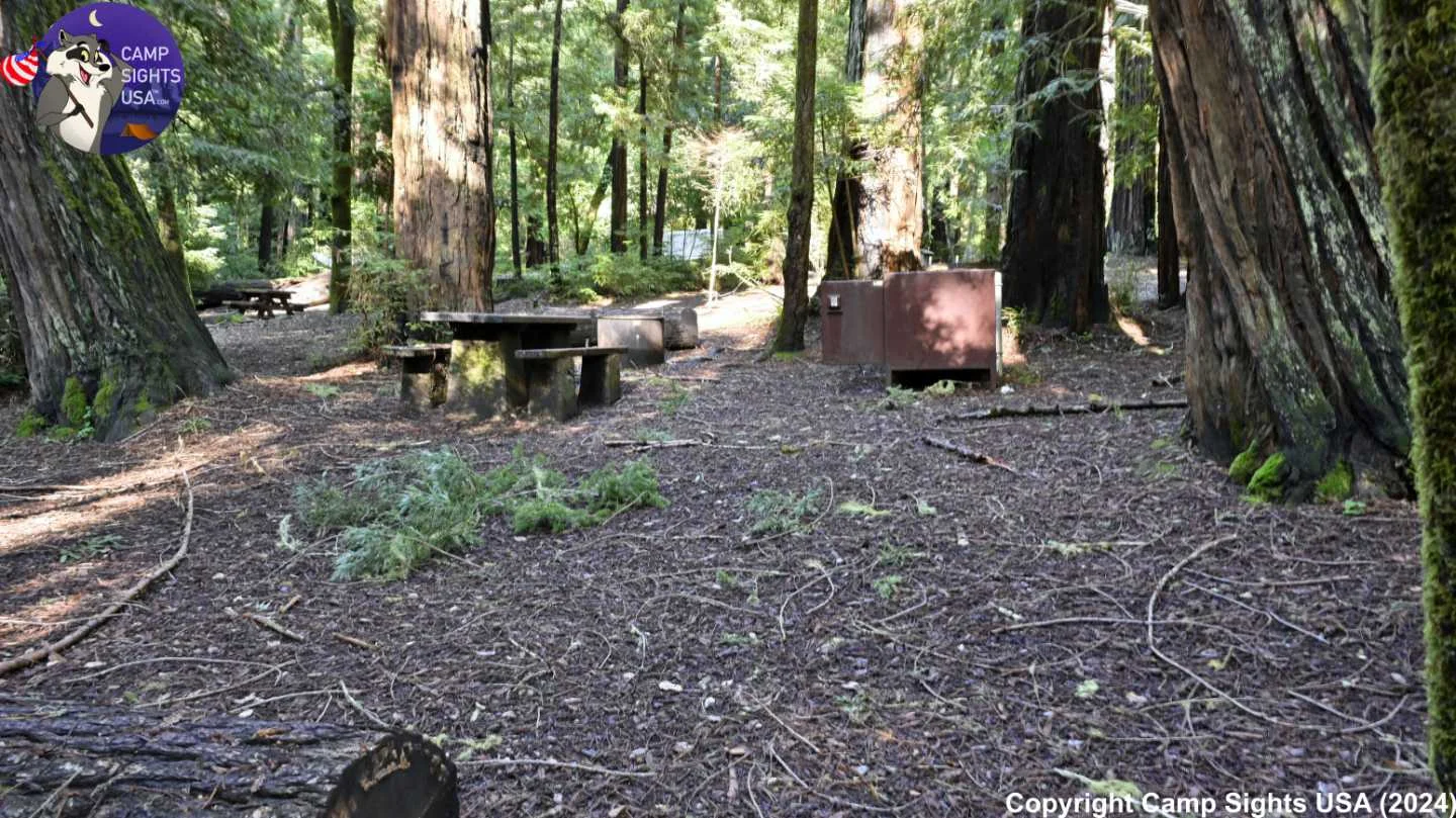 Portola Redwoods Site #26