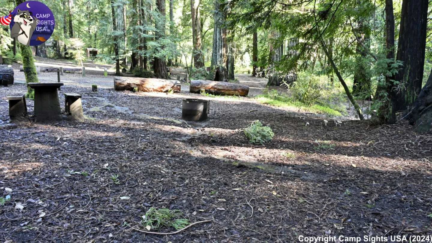 Portola Redwoods Site #27