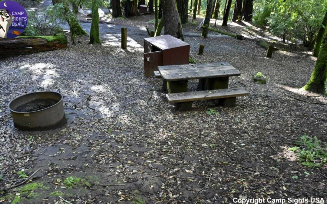 Portola Redwoods Site #29