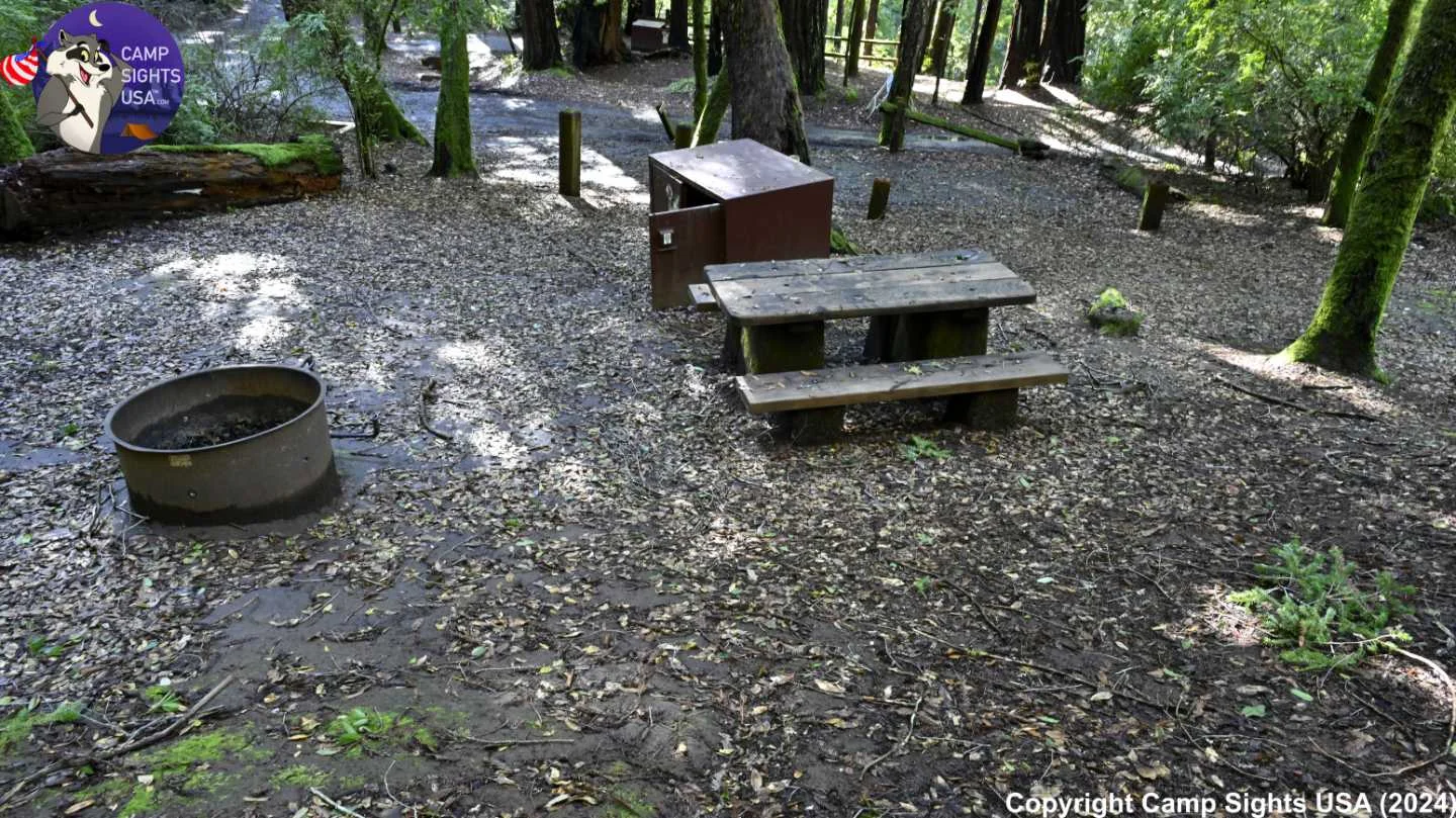 Portola Redwoods Site #29