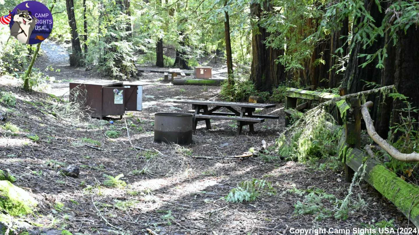 Portola Redwoods Site #3