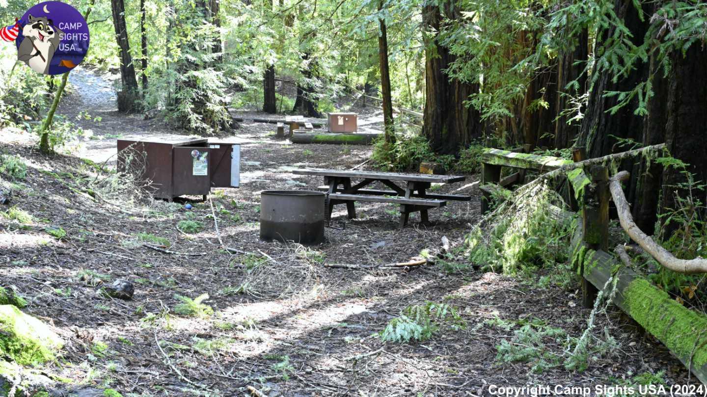 Portola Redwoods Site #3