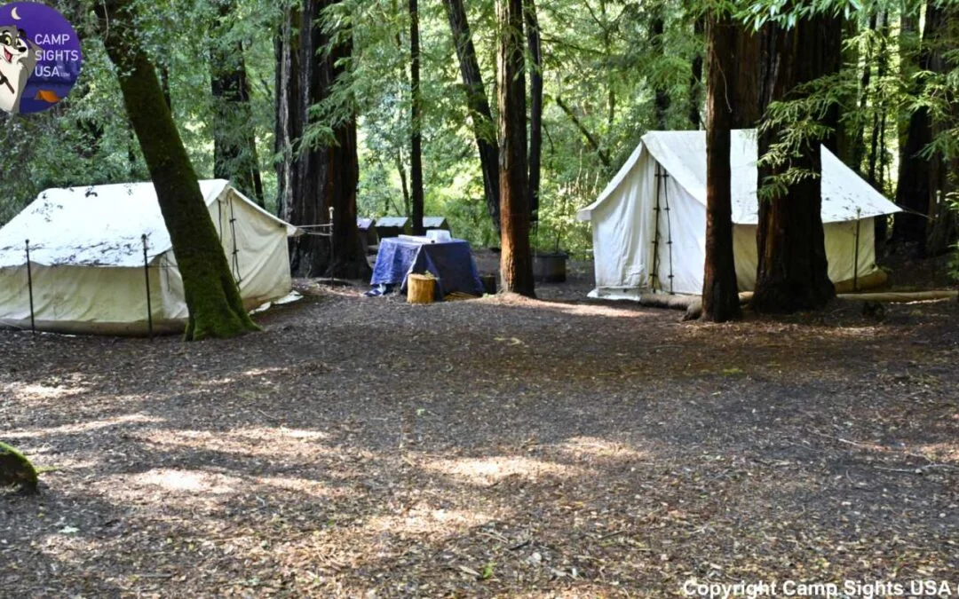 Portola Redwoods Site #31