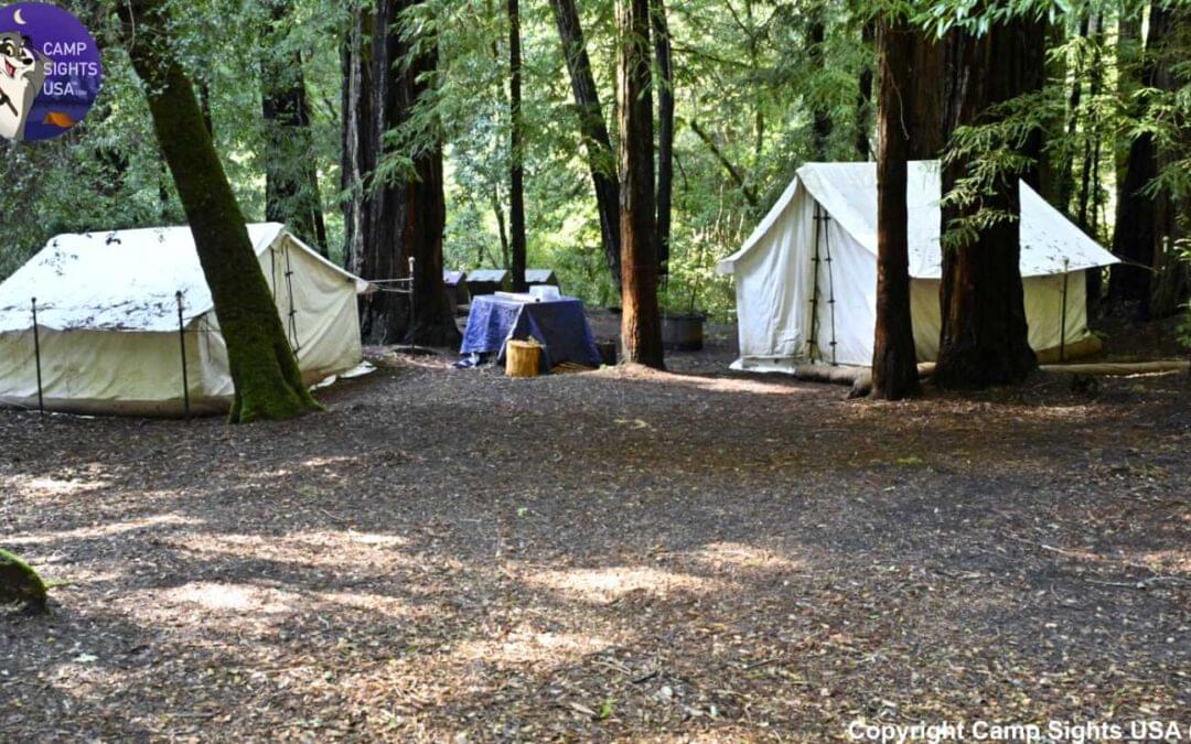 Portola Redwoods Site #31