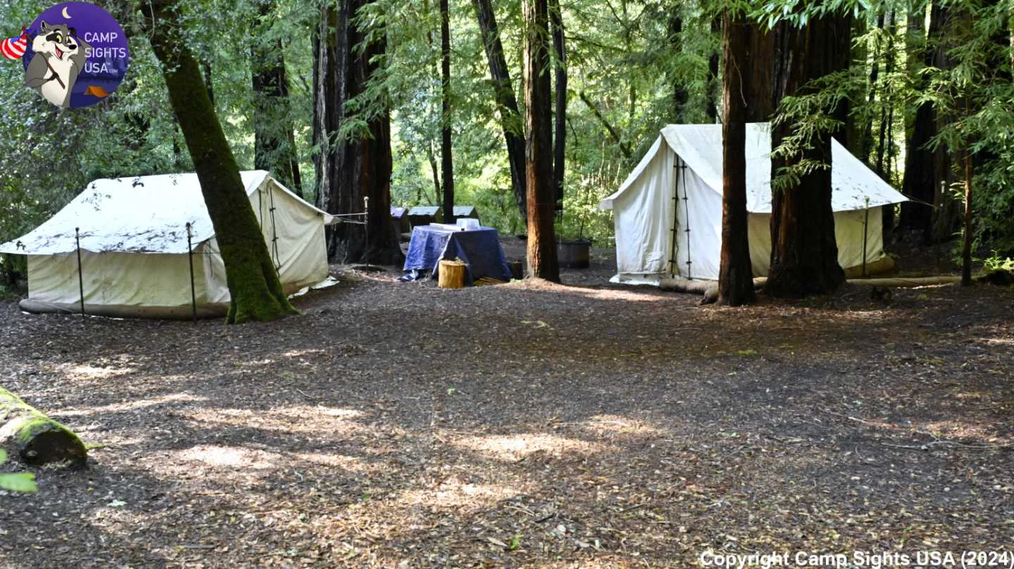 Portola Redwoods Site #31
