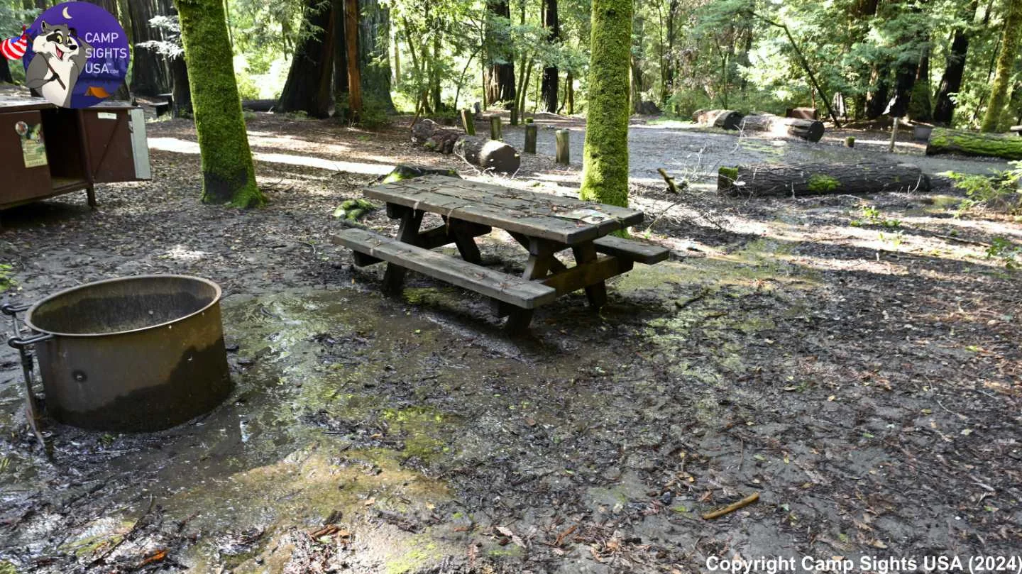 Portola Redwoods Site #32