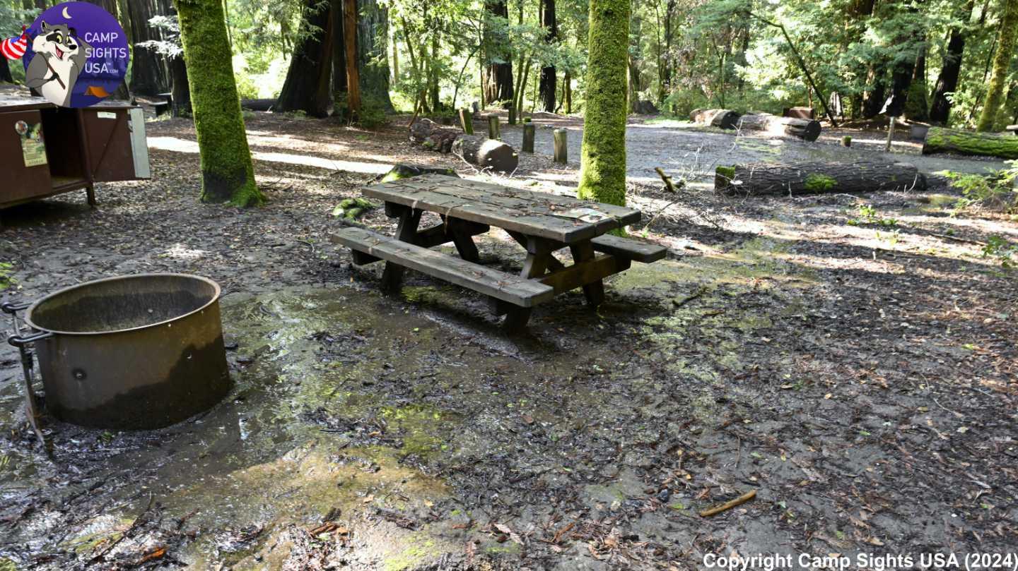 Portola Redwoods Site #32