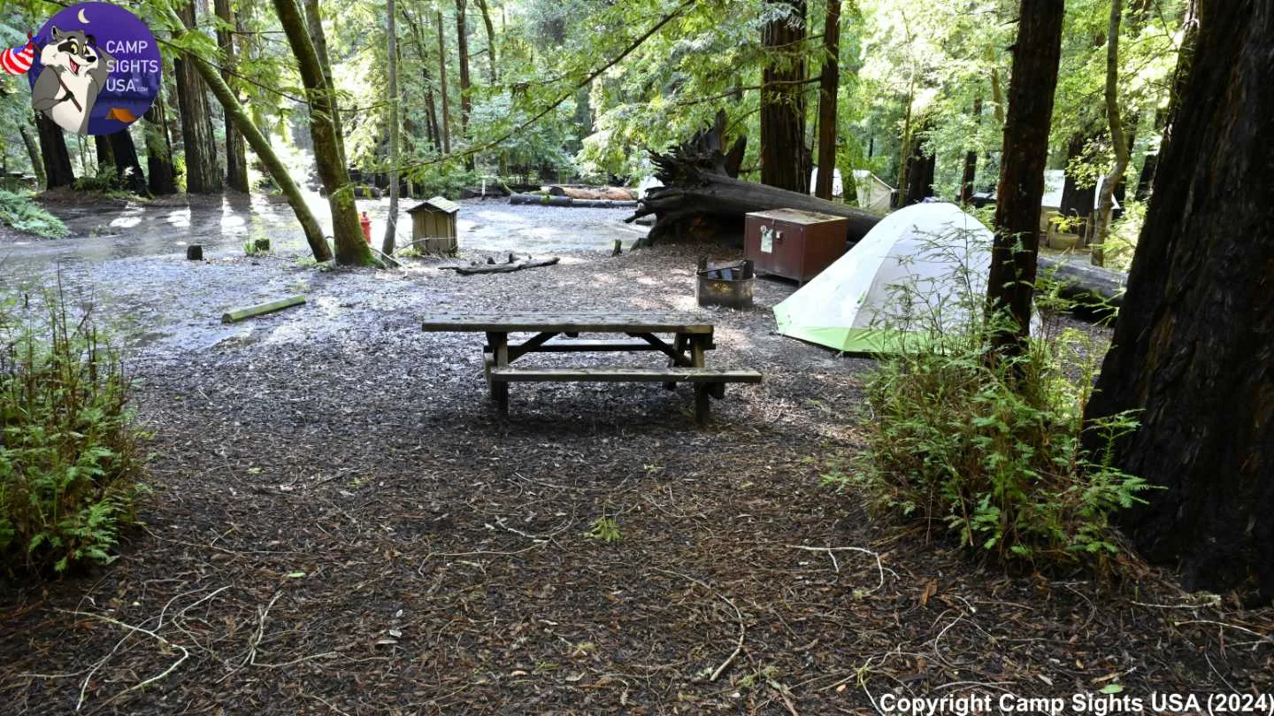 Portola Redwoods Site #33