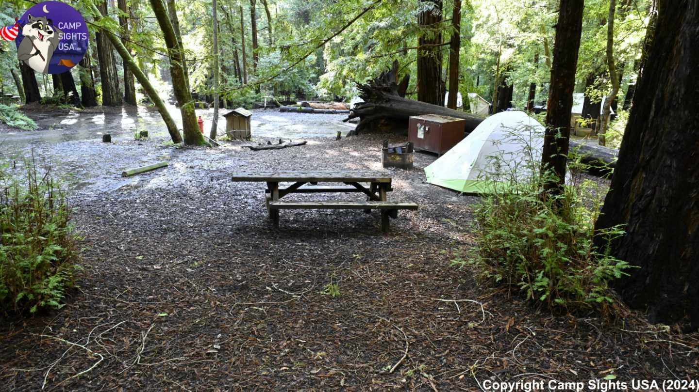 Portola Redwoods Site #33