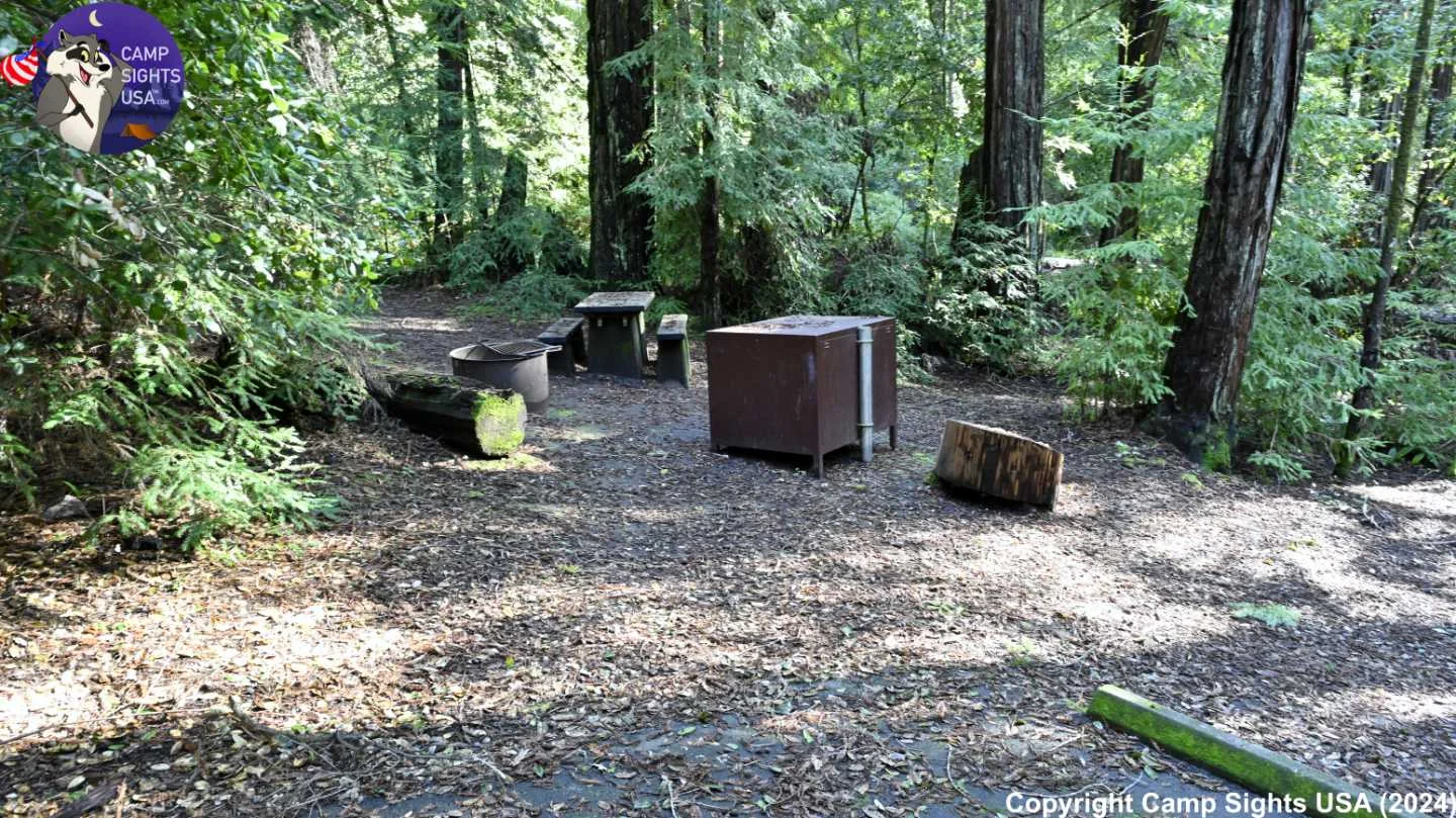 Portola Redwoods Site #35