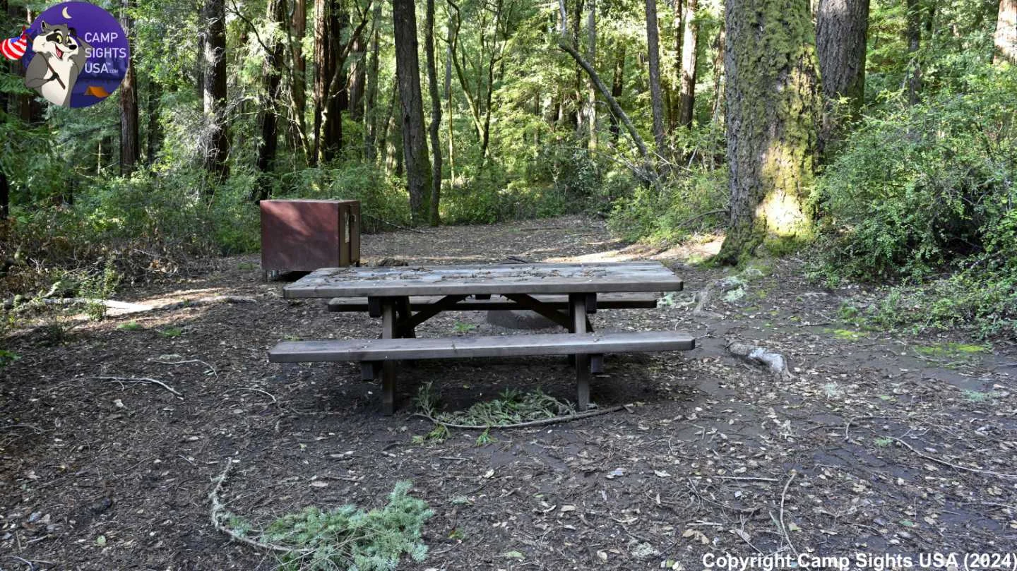 Portola Redwoods Site #36
