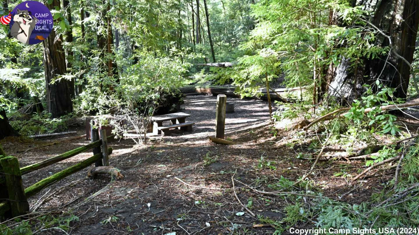 Portola Redwoods Site #37