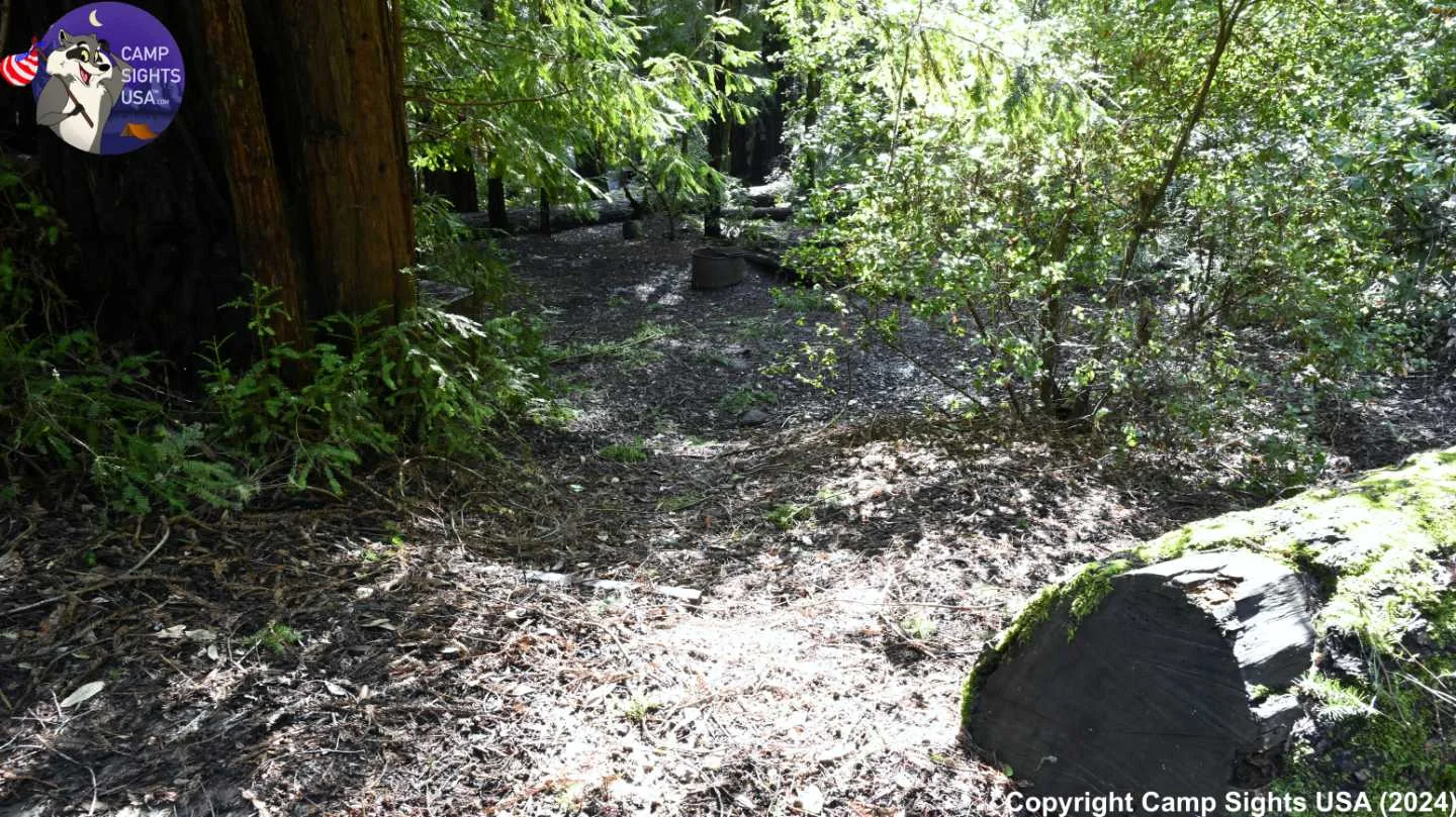 Portola Redwoods Site #38