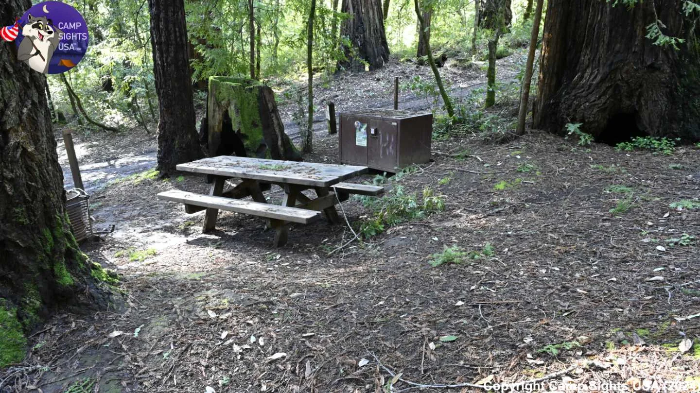 Portola Redwoods Site #39