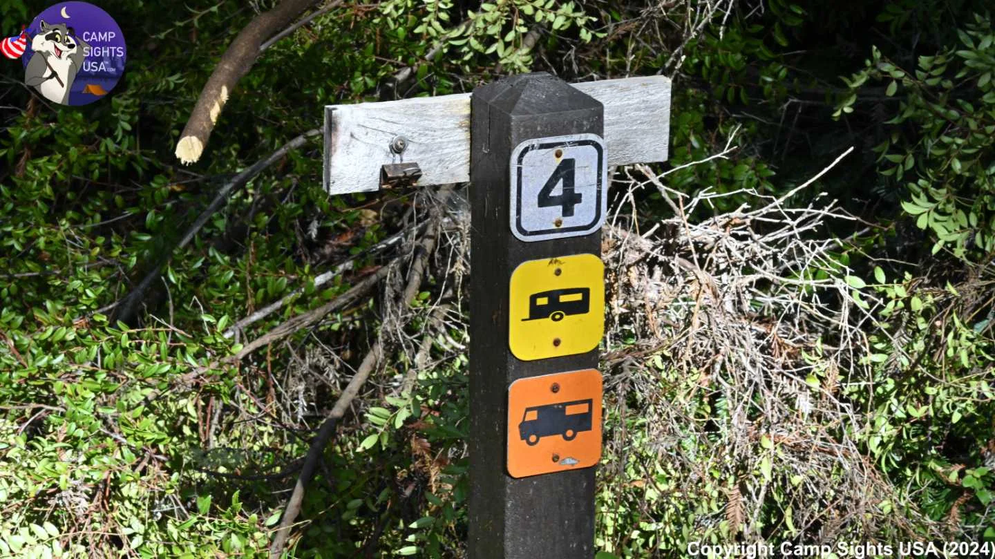 Portola Redwoods Site #4